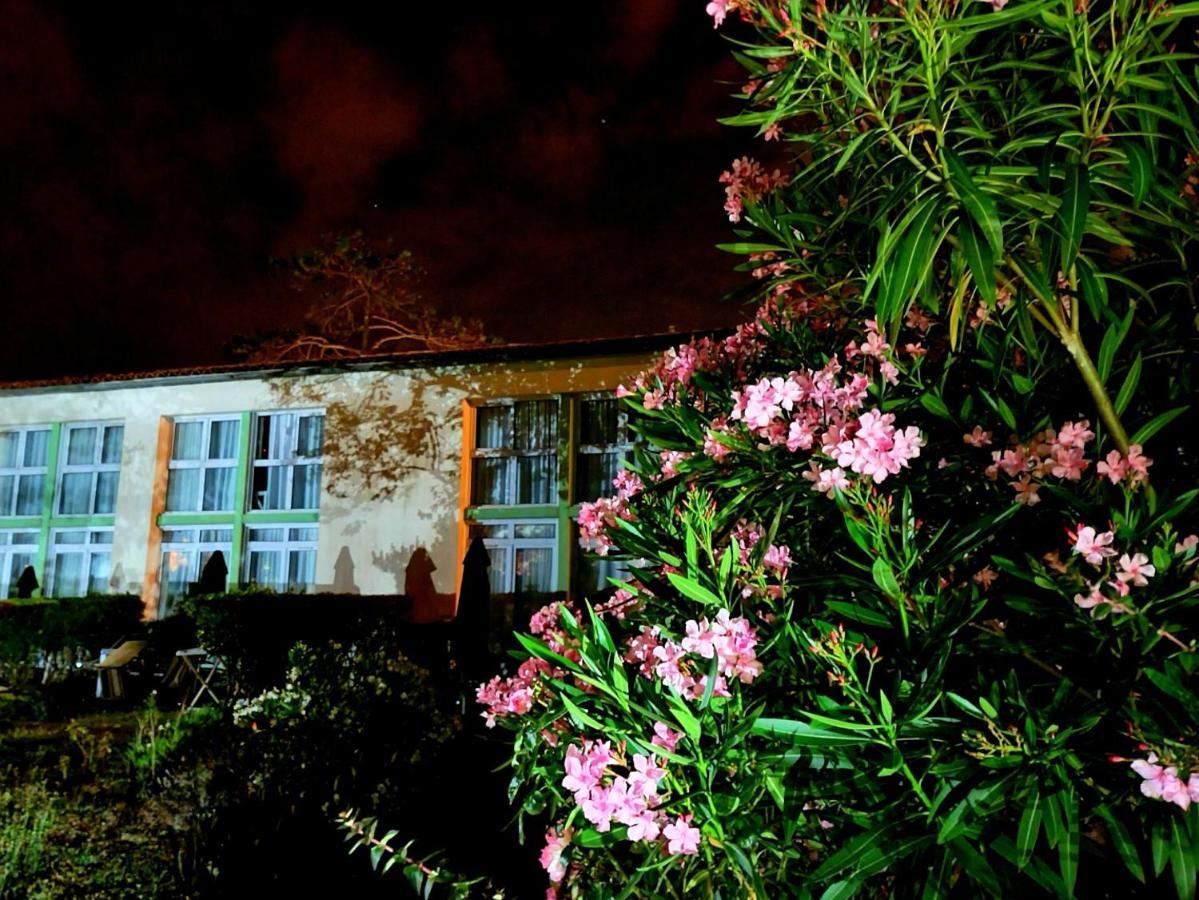 Appartement 91 Palais Des Gouverneurs Saint-Martin-de-Ré Exteriér fotografie